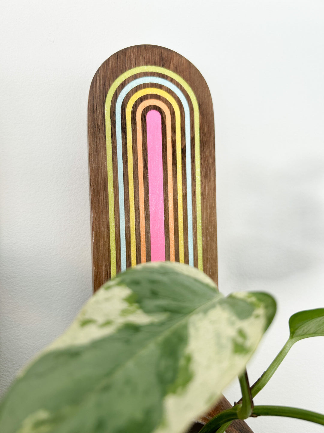 Propagation Little Shelf - Rainbow Arch Yellow and Pink Neon Dark Stain-3