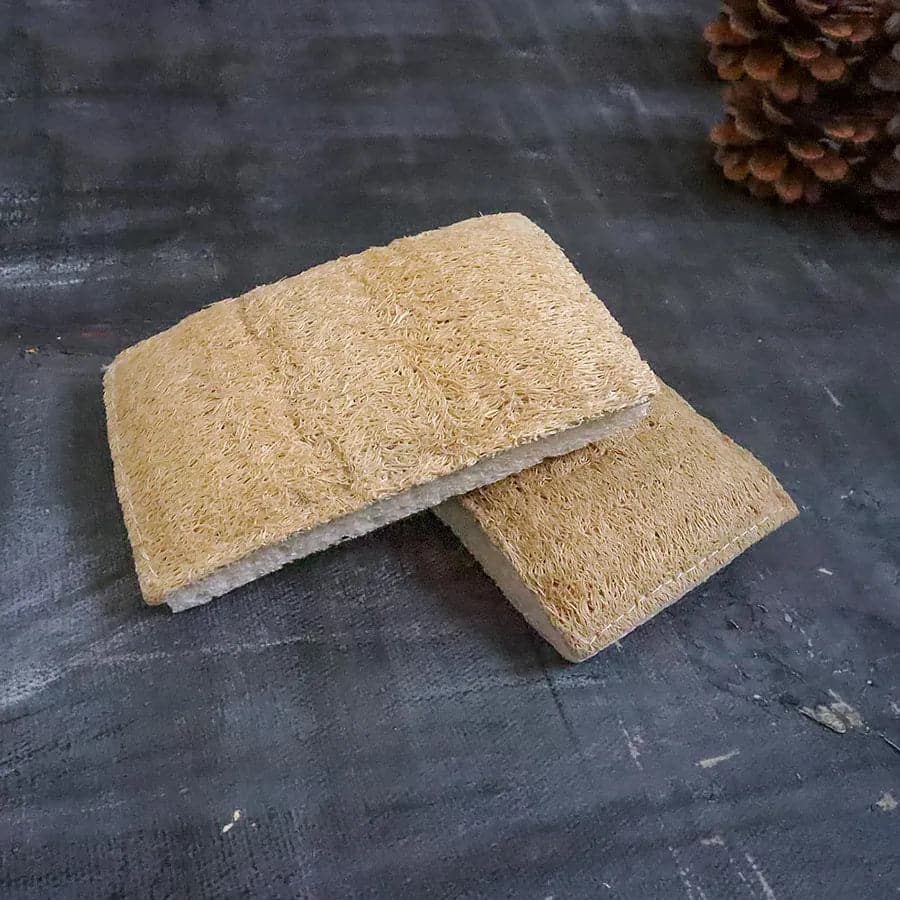 Eco Sponge-2