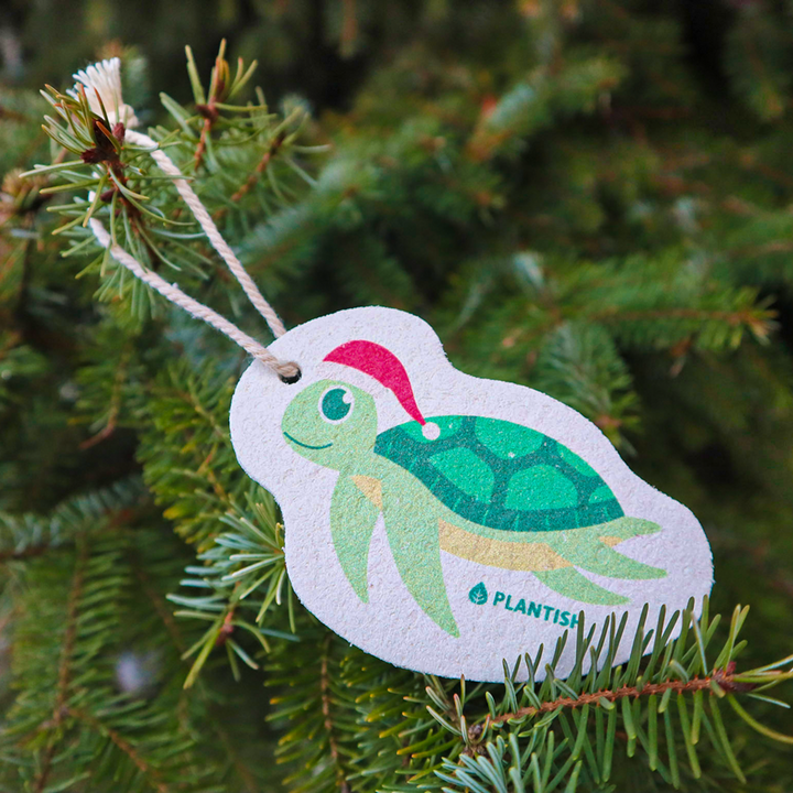 Holiday Turtle - Pop Up Sponge (Holiday Exclusive)-1