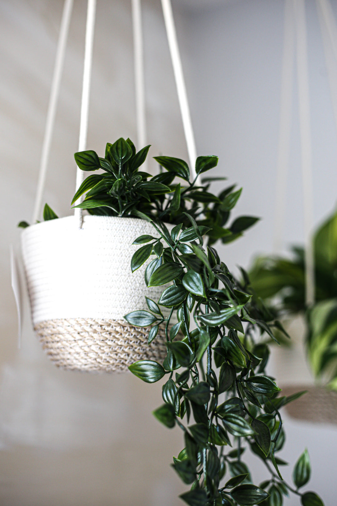 Jute Hanging Planter-0