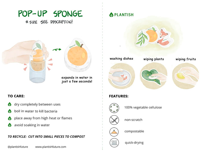 Eucalyptus - Pop up Sponge