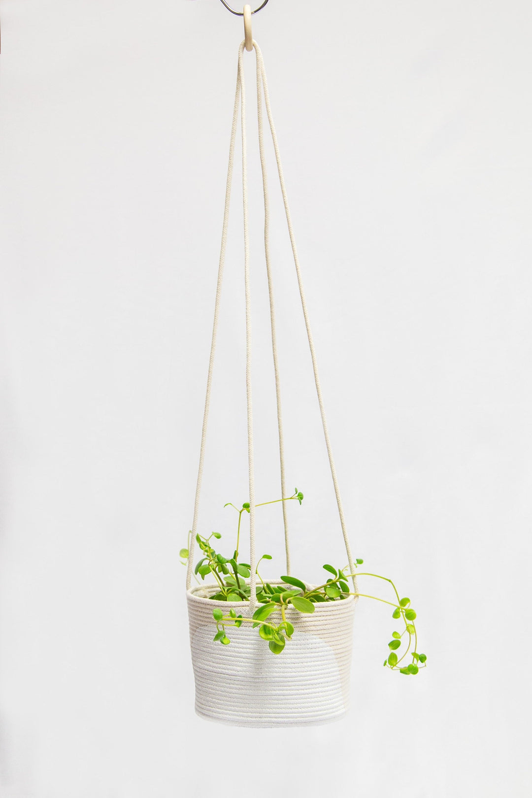 Arch Colour Block Hanging Planter-3