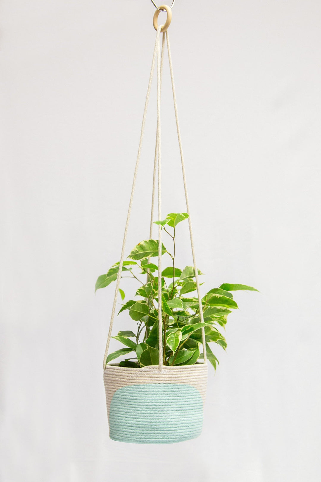 Arch Colour Block Hanging Planter-4