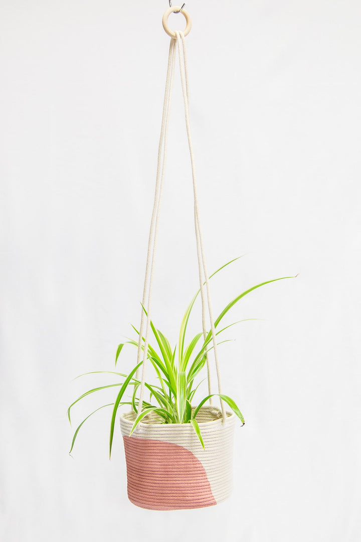 Arch Colour Block Hanging Planter-0