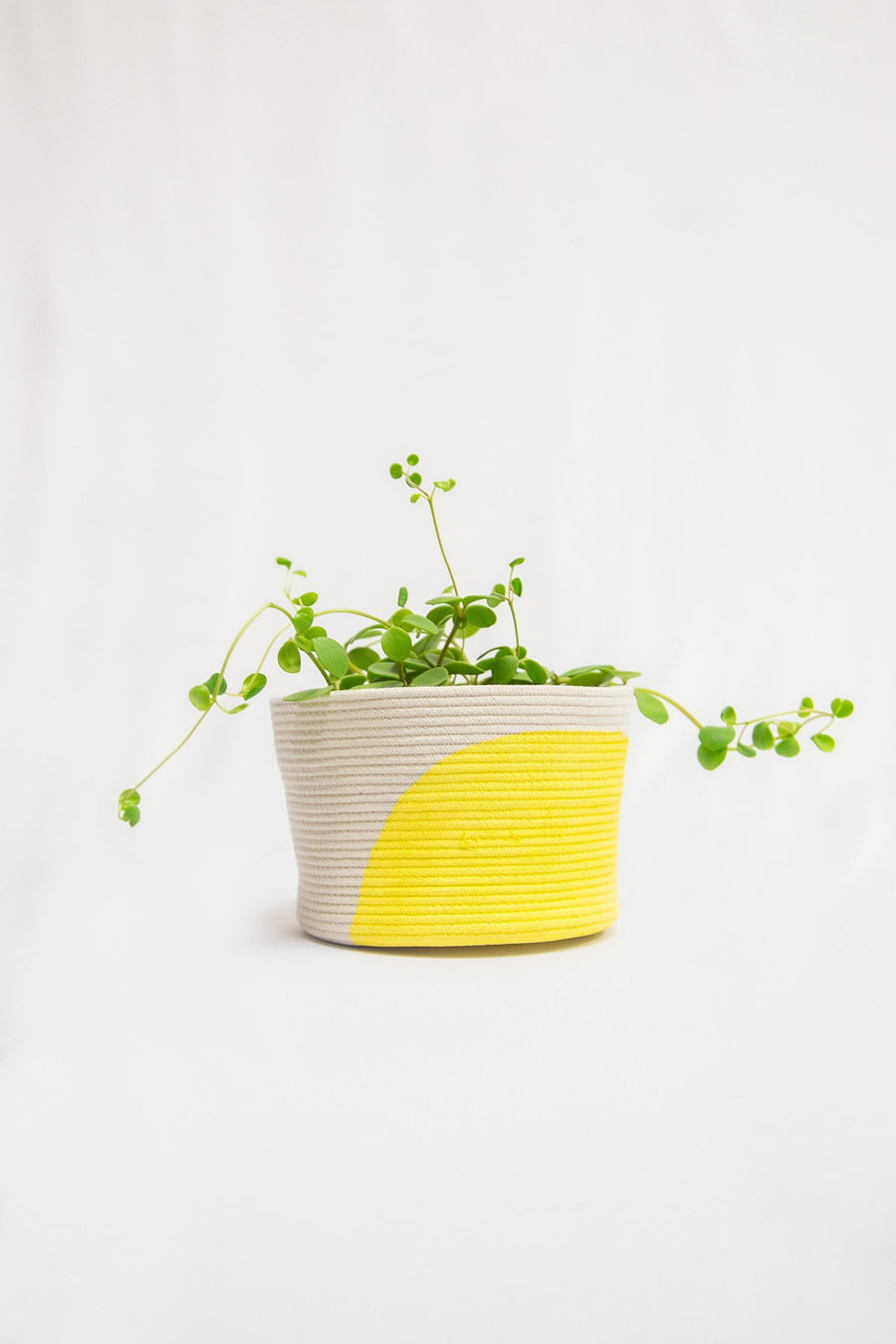 Arch Colour Block Basket-0