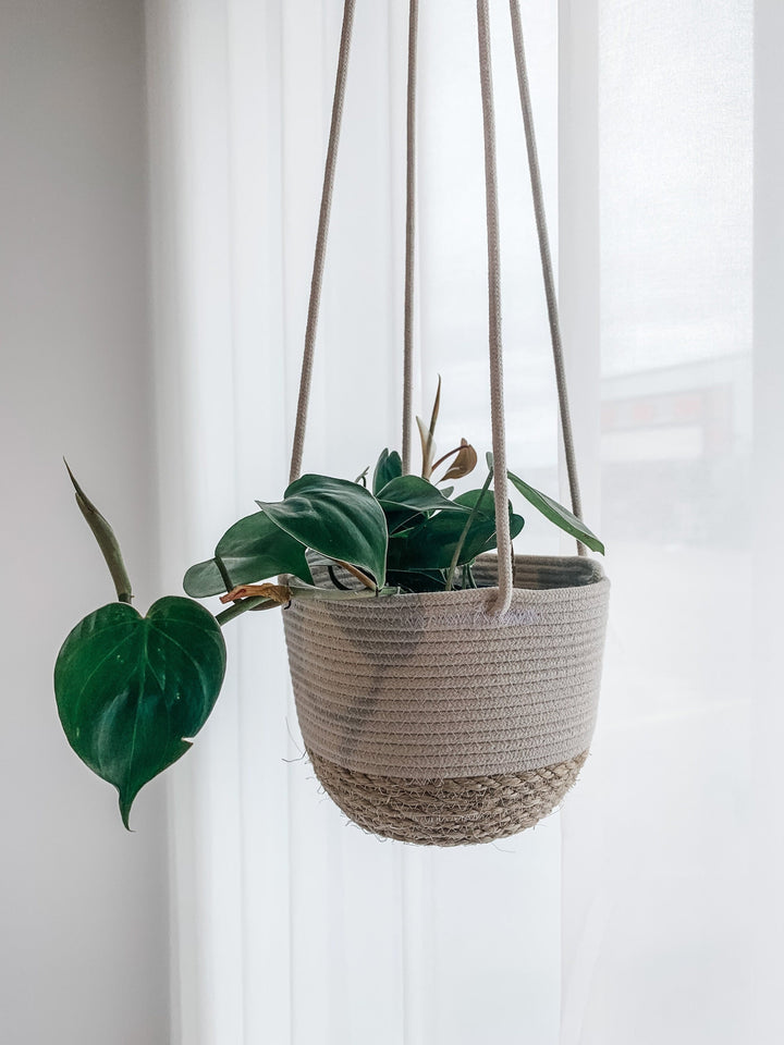 Jute Hanging Planter-7