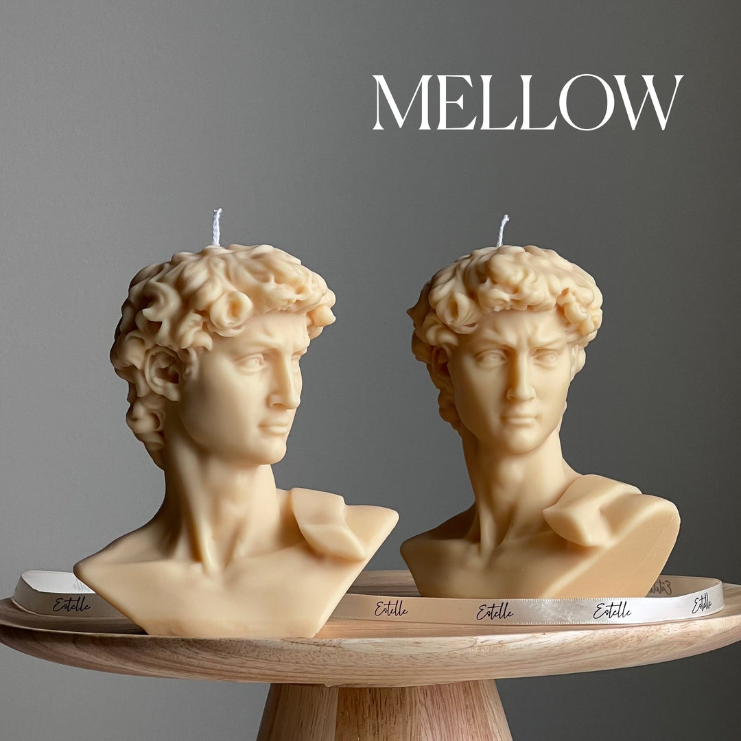 Michelangelo’s David Head Candle-3