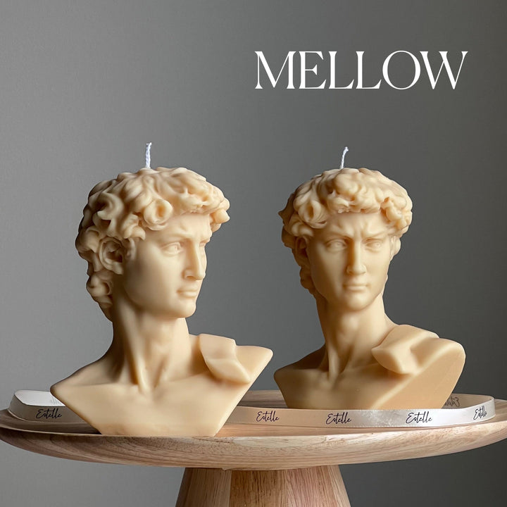 Michelangelo’s David Head Candle-3