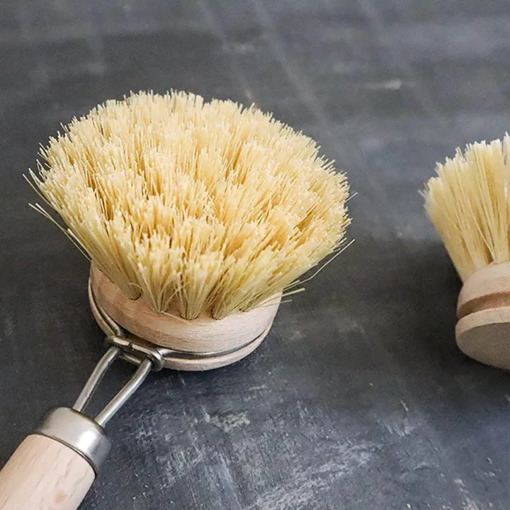 Zero Waste Kitchen Brush Set - Brush Kit